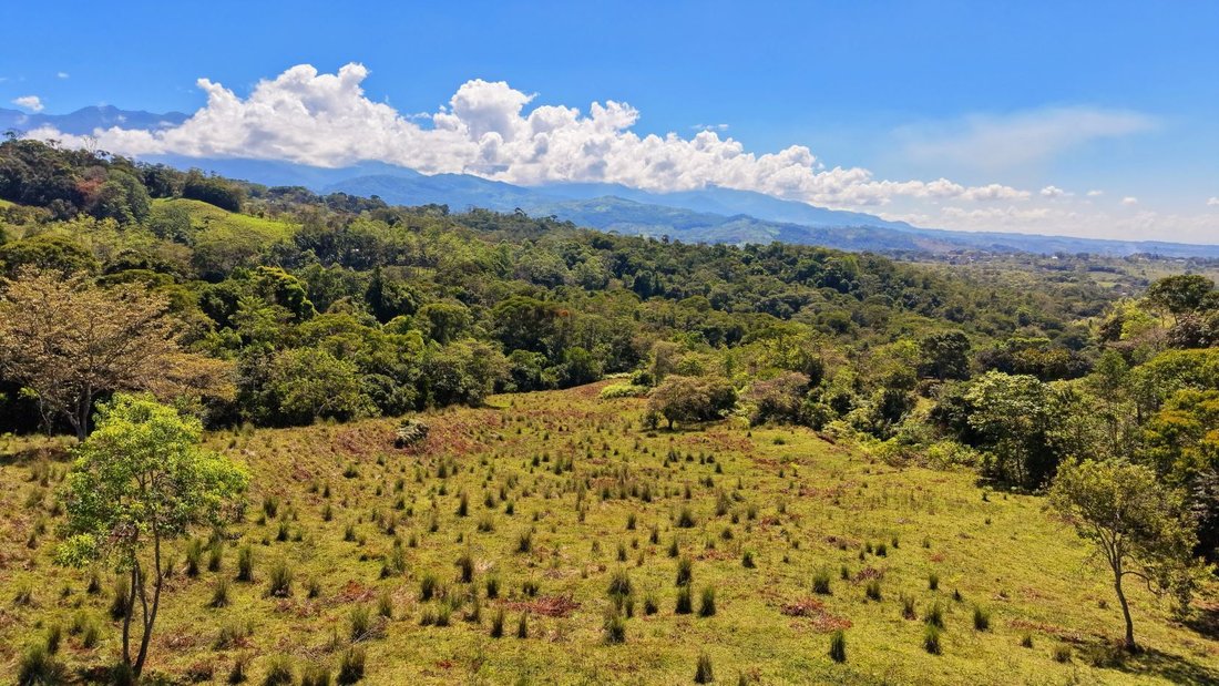 Land in Pérez Zeledón, Pérez Zeledón, Costa Rica 4 - 18241198
