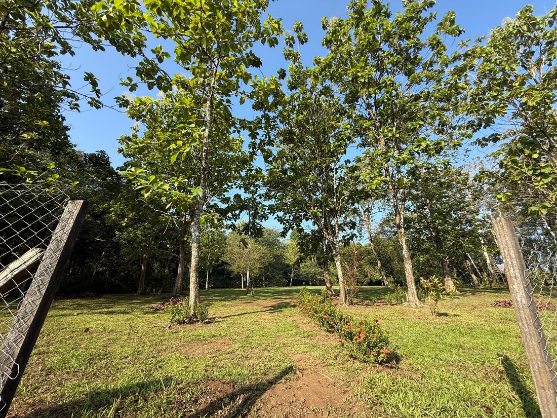 Land in Cuervito, Puntarenas Province, Costa Rica 1 - 18246582
