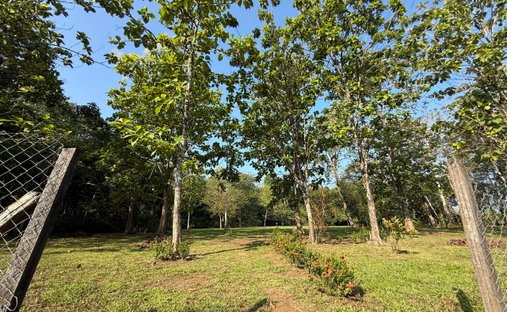 Land in Cuervito, Puntarenas Province, Costa Rica 1