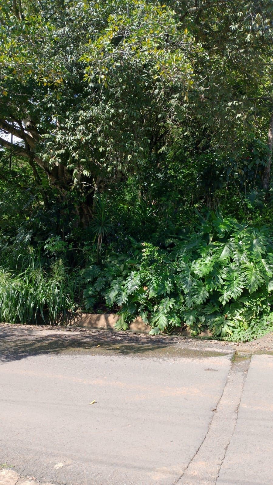 Land in Escobal, Guanacaste Province, Costa Rica 4 - 18239821