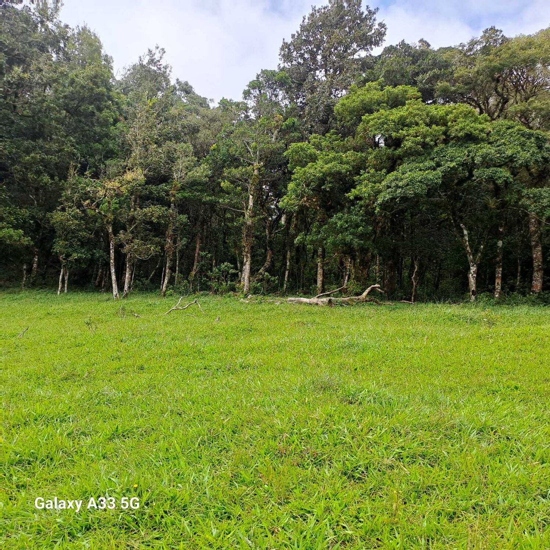 Land in Montes de Oro, Montes de Oro, Costa Rica 4 - 18238301