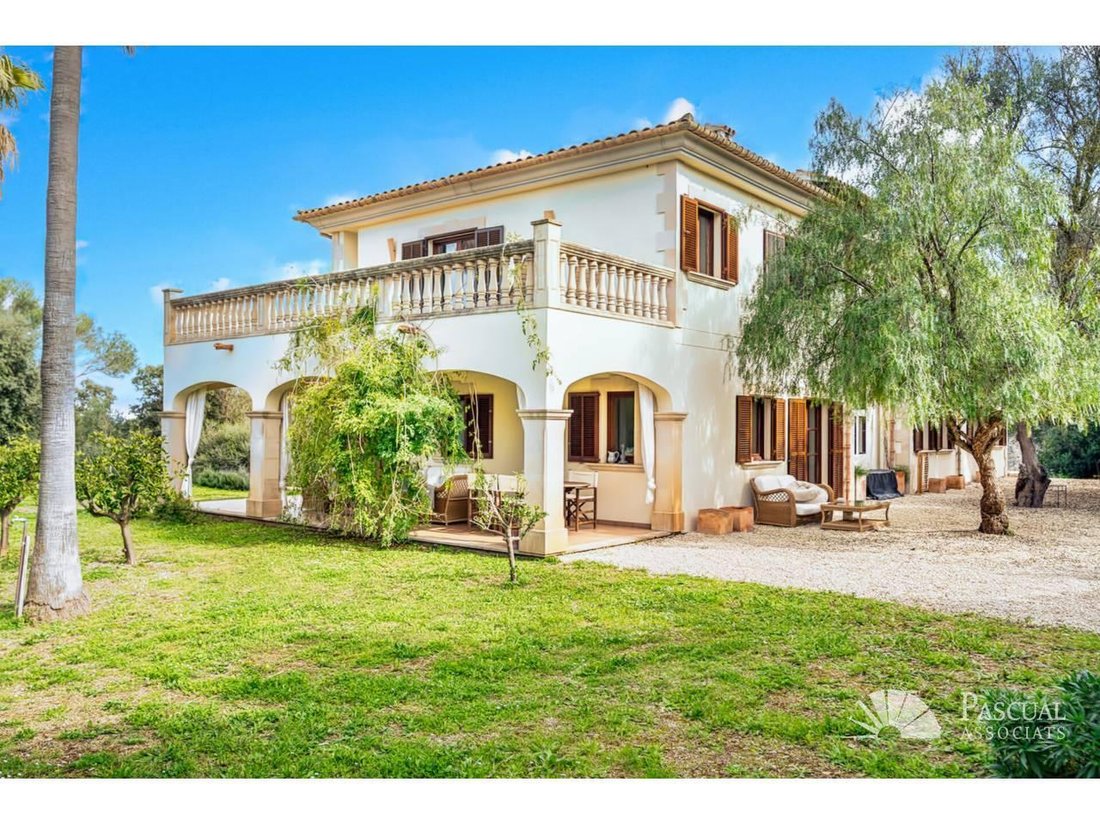 House in Muro, Balearic Islands, Spain 4 - 18242872