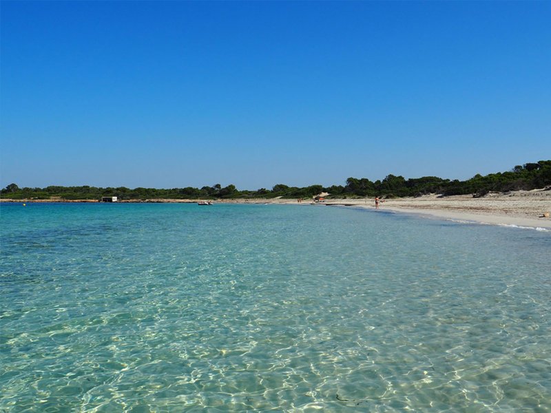 Apartment in ses Salines, Balearic Islands, Spain 5 - 18243077