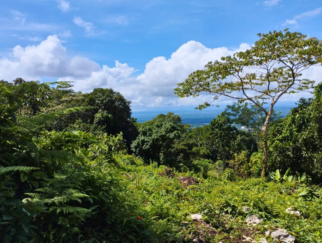 Land in Llano Bonito, Puntarenas Province, Costa Rica 3 - 18246622