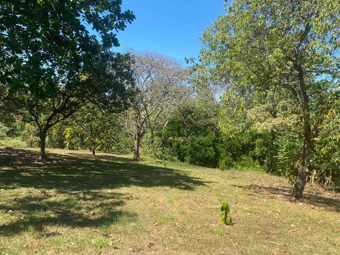 Land in Orotina, Guanacaste Province, Costa Rica 5 - 18240903