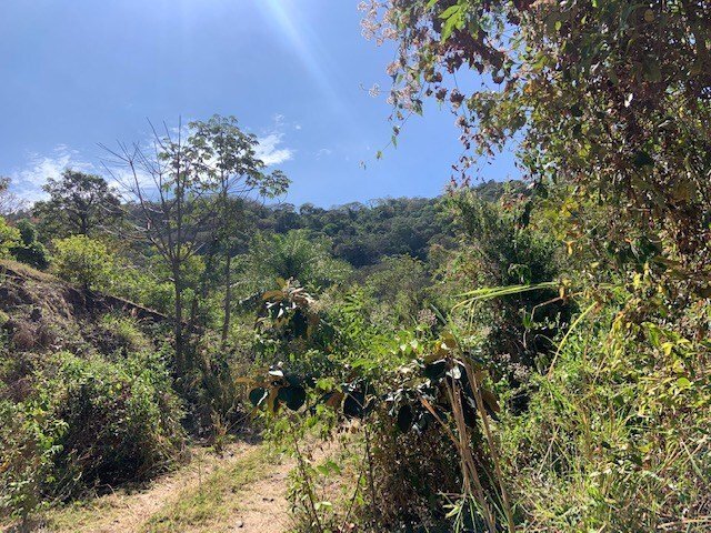 Land in Jesús, Alajuela Province, Costa Rica 2 - 18240882