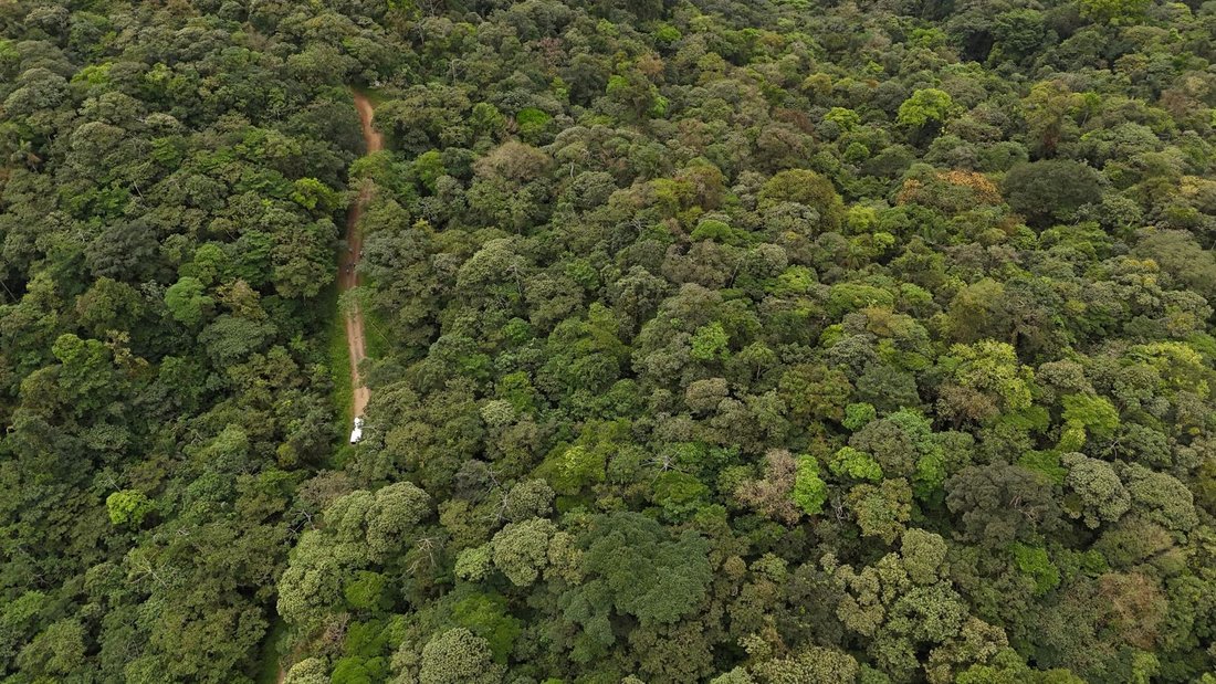 Land in San Ramón, San Ramón, Costa Rica 2 - 18241157