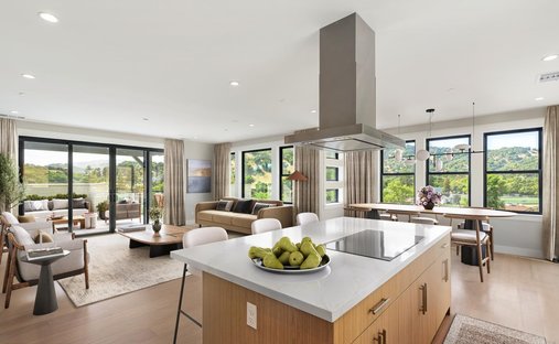 House in San Rafael, California, United States 1