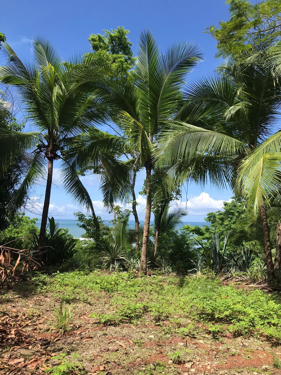House in Carmen Beach, Puntarenas Province, Costa Rica 3 - 18235845