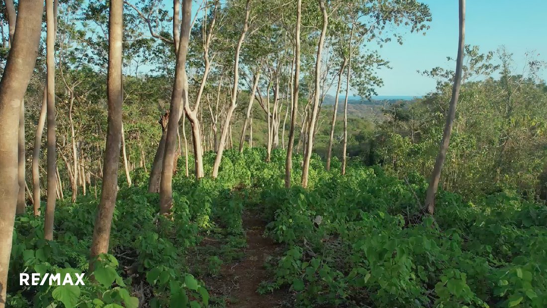 Land in Guanacaste, Nicoya, Costa Rica 2 - 18238330