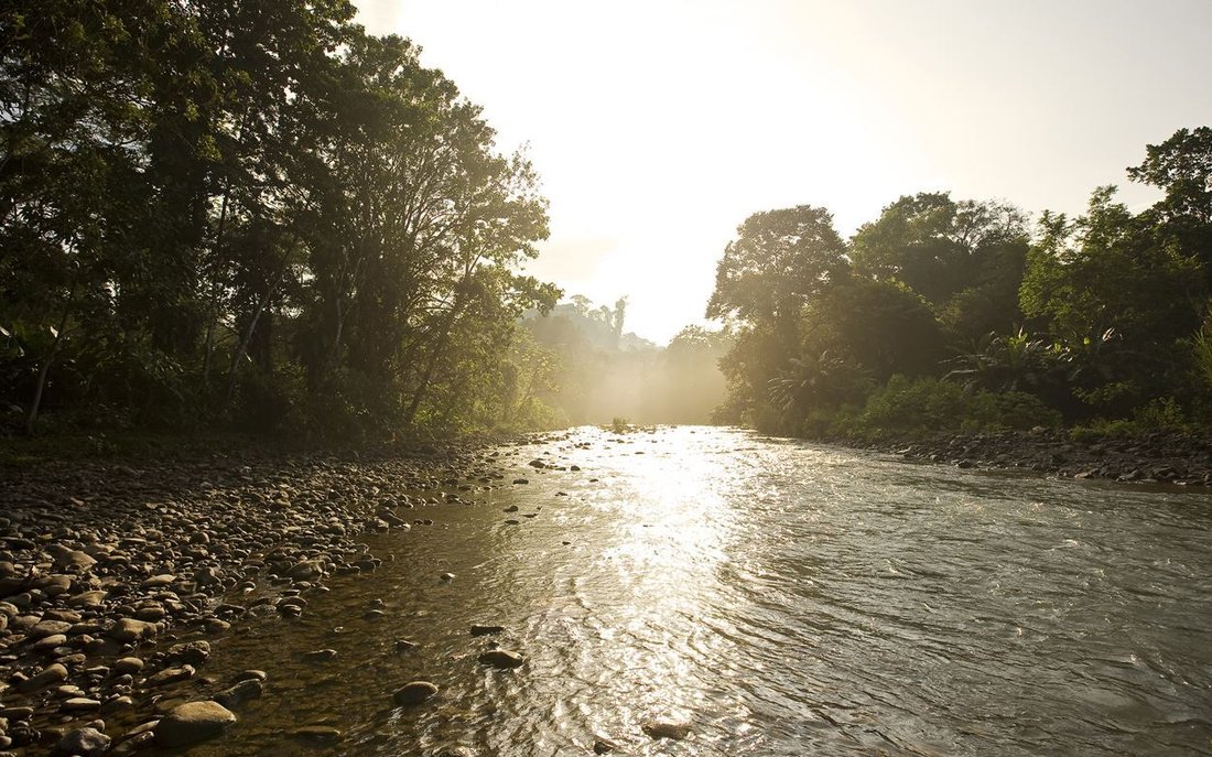 Land in Quepos, Puntarenas Province, Costa Rica 3 - 18237745