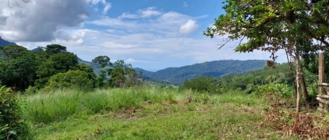 Land in Savegre de Aguirre, Puntarenas Province, Costa Rica 5 - 18237944