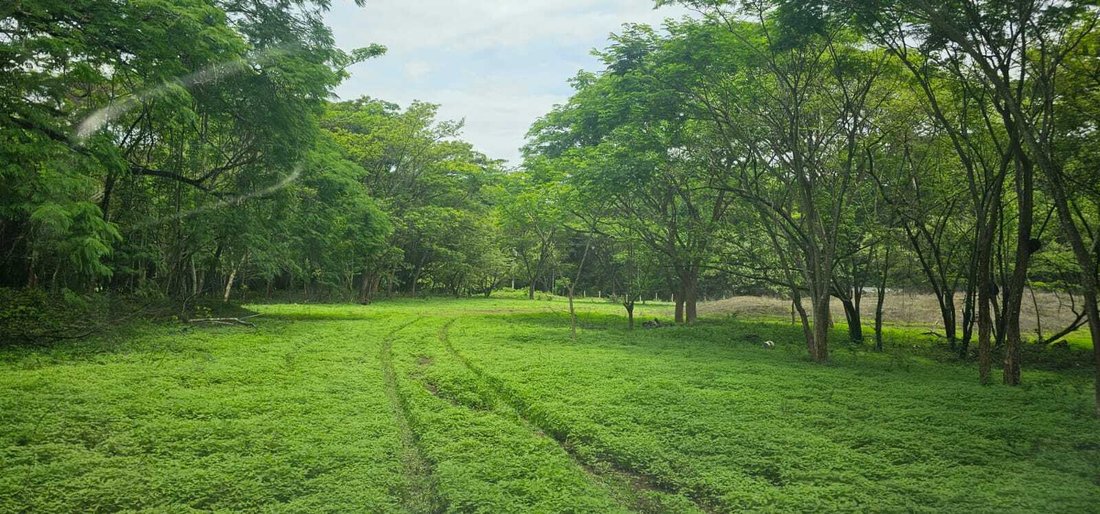 Land in Barco Quebrado, Guanacaste Province, Costa Rica 1 - 18238599