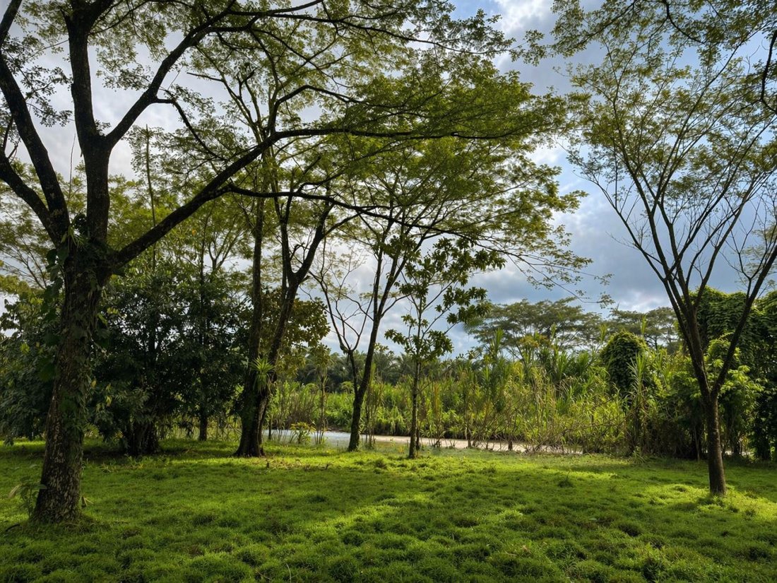 Land in Quepos, Puntarenas Province, Costa Rica 2 - 18241101