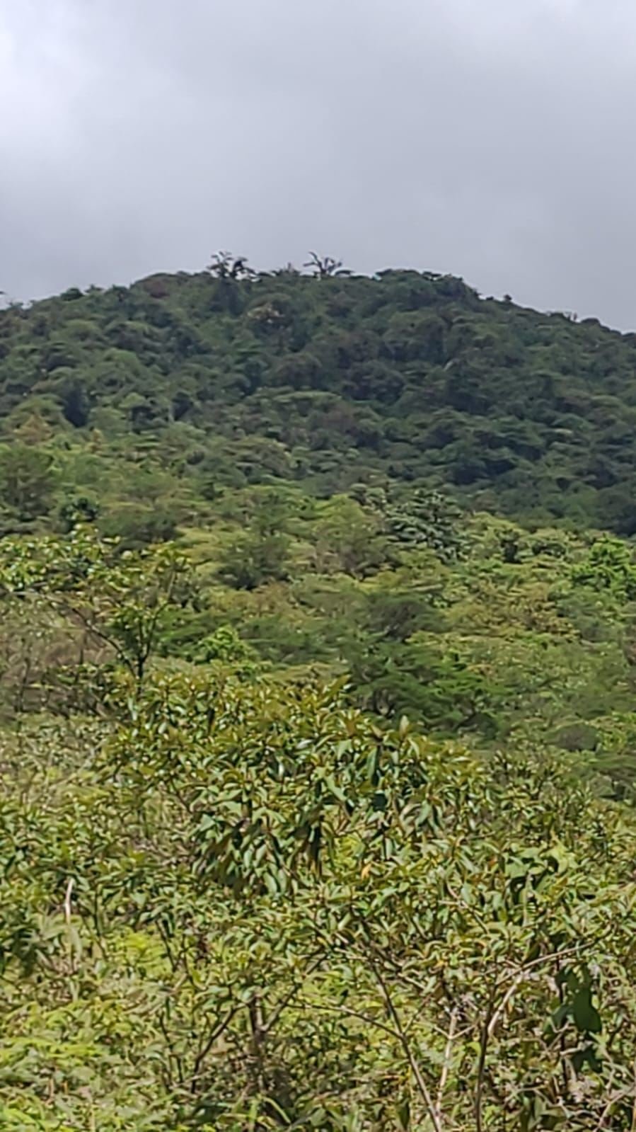 Land in Guadalajara, Guanacaste Province, Costa Rica 4 - 18240979