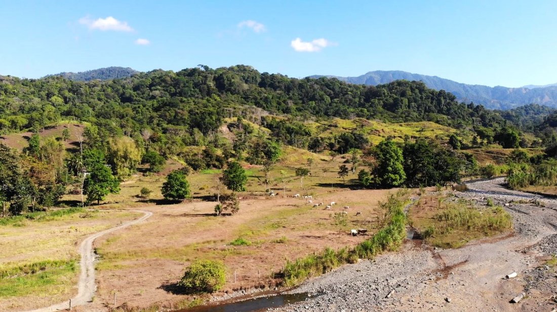 Land in Naranjito, Puntarenas Province, Costa Rica 5 - 18237732