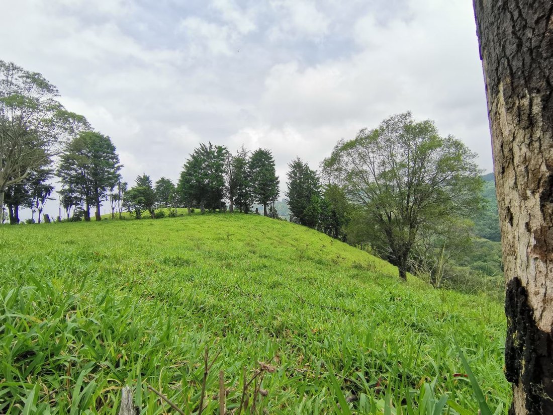 Terreno en Naranjo, Provincia de Alajuela, Costa Rica 1 - 18238485