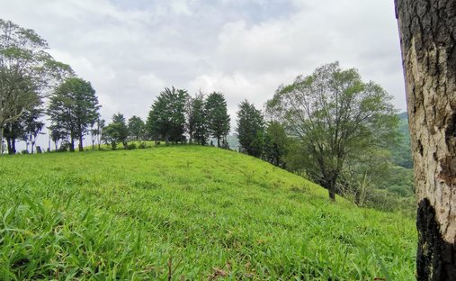 Terrain à Naranjo, Alajuela, Costa Rica 1