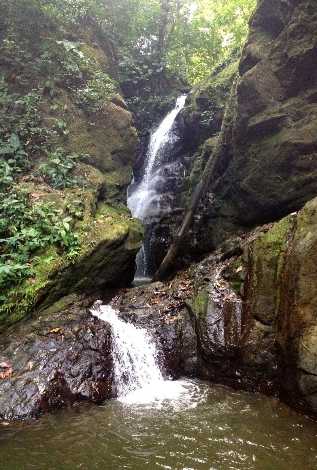 Land in Cuervito, Puntarenas Province, Costa Rica 5 - 18246540