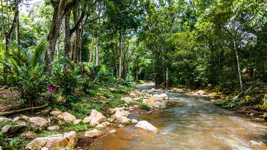 Land in Garabito, Costa Rica 5 - 18245574
