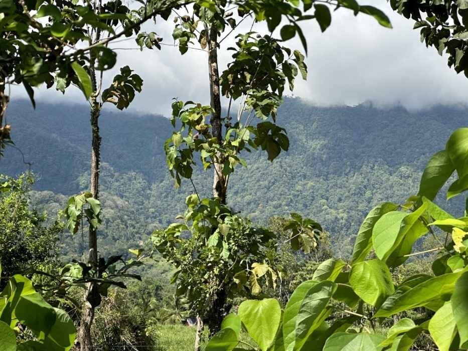 Land in Ojochal, Puntarenas Province, Costa Rica 2 - 18241307