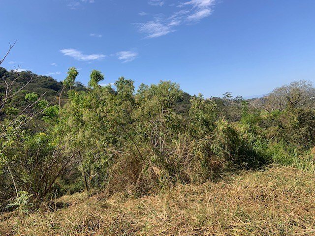 Land in Jesús, Alajuela Province, Costa Rica 4 - 18240882