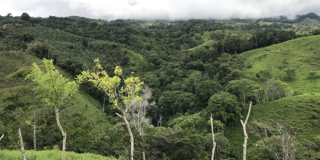 Terreno a Pérez Zeledón, Cantone di Pérez Zeledón, Costa Rica 4 - 18241312