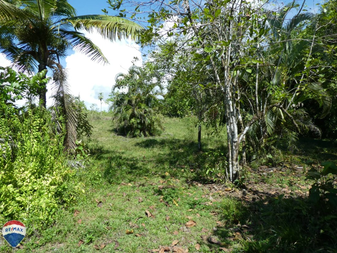 Land in Cuervito, Puntarenas Province, Costa Rica 3 - 18246531