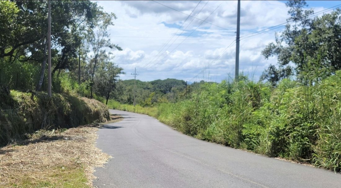 Land in Liberia, Liberia, Costa Rica 3 - 18246471