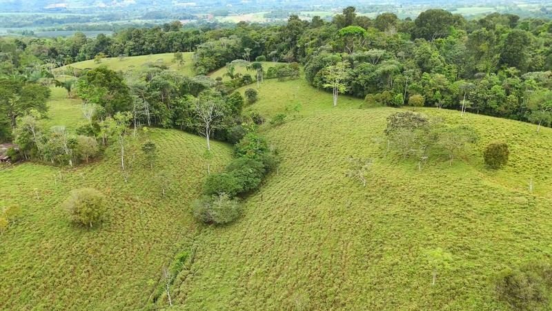 Land in Pérez Zeledón, Pérez Zeledón, Costa Rica 2 - 18241148