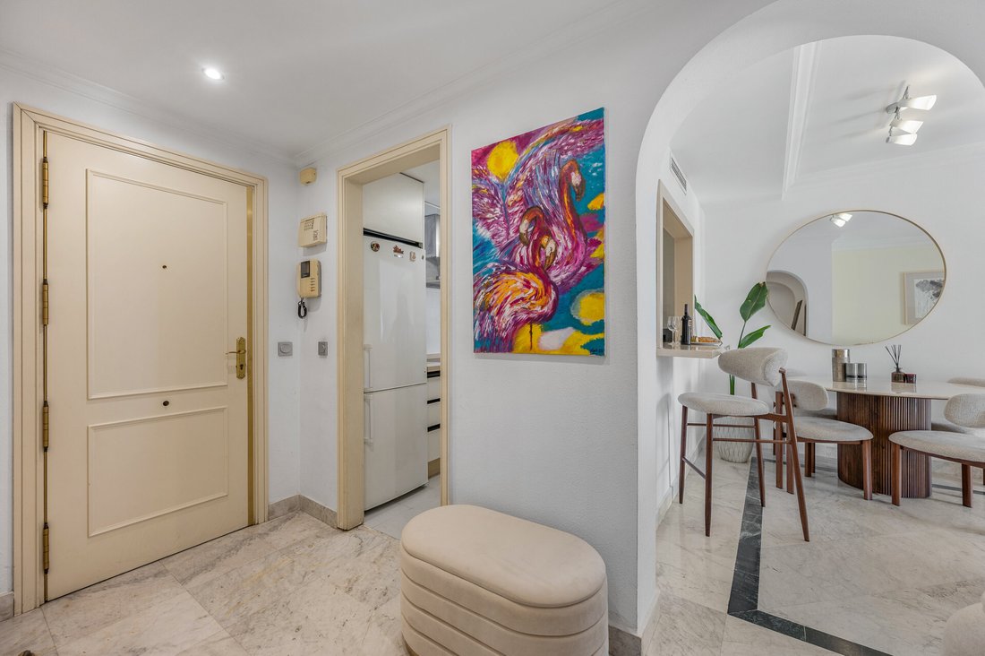 Apartment in Puerto Banus, Marbella, Spain 5 - 18238816
