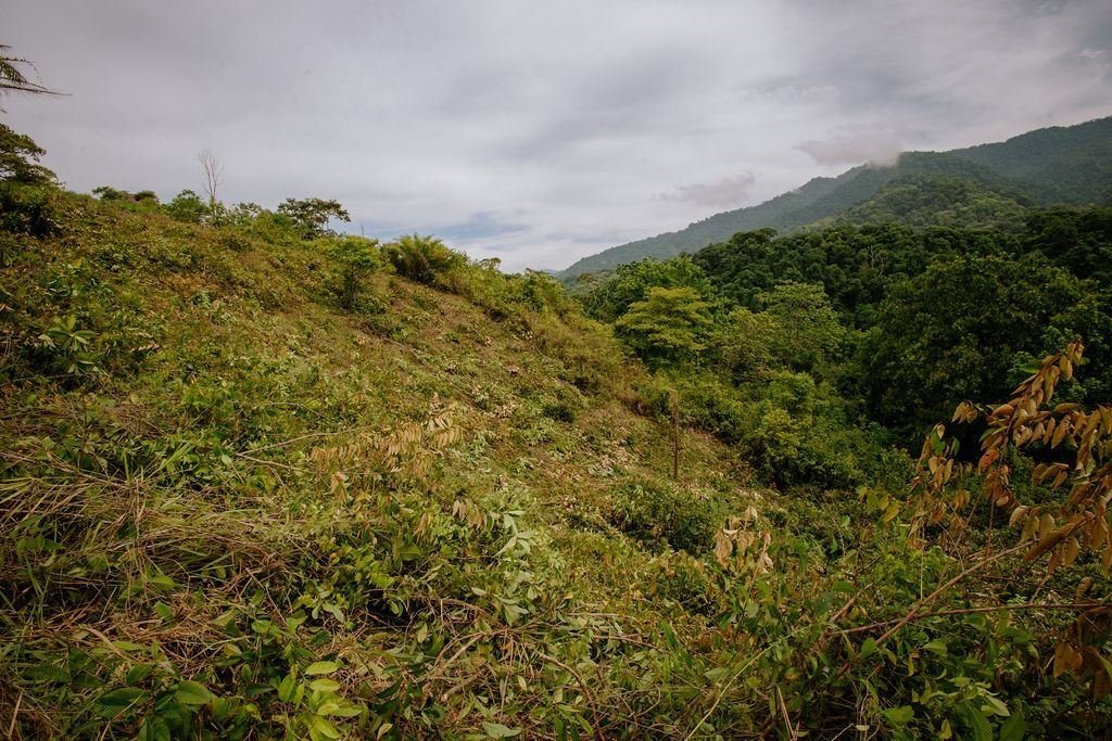 Land in Quepos, Puntarenas Province, Costa Rica 3 - 18241100
