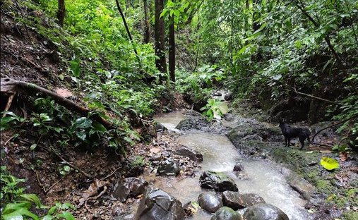Land in Upala, Upala, Costa Rica 1