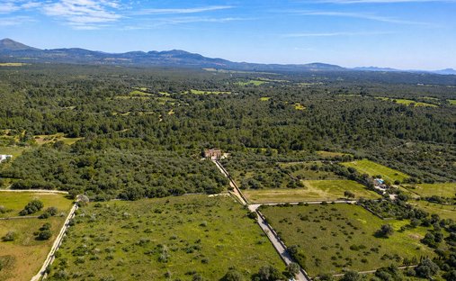 Terreno a Santa Margalida, Isole Baleari, Spagna 1