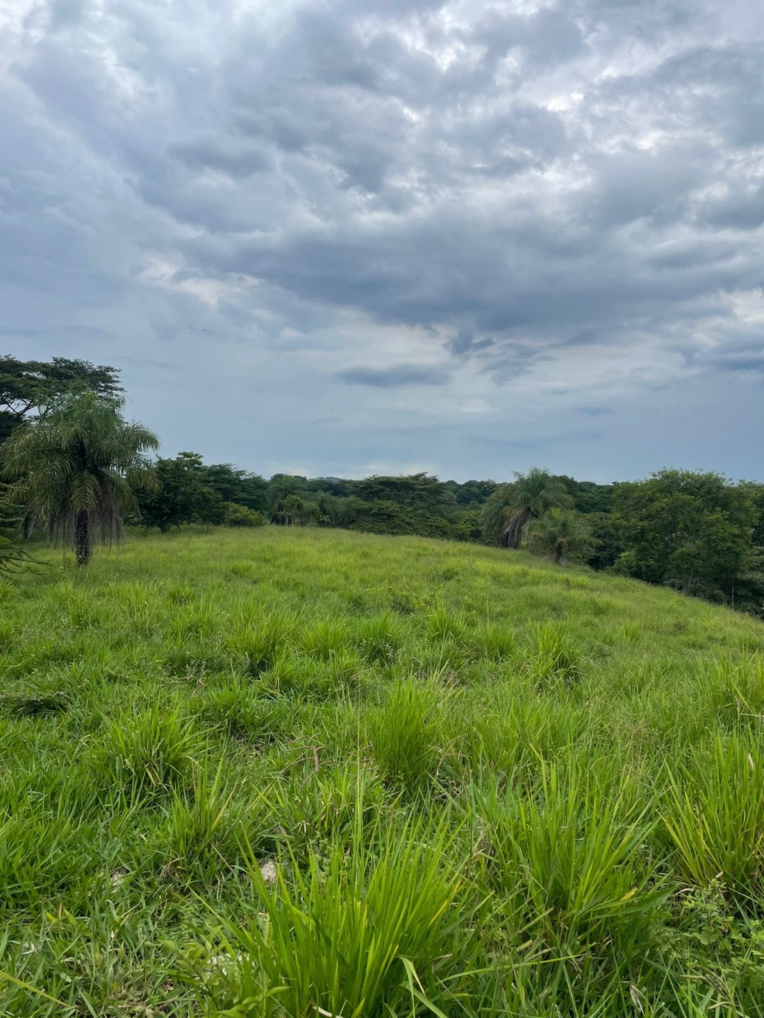 Terrain à Turrubares, Turrubares, Costa Rica 3 - 18239902