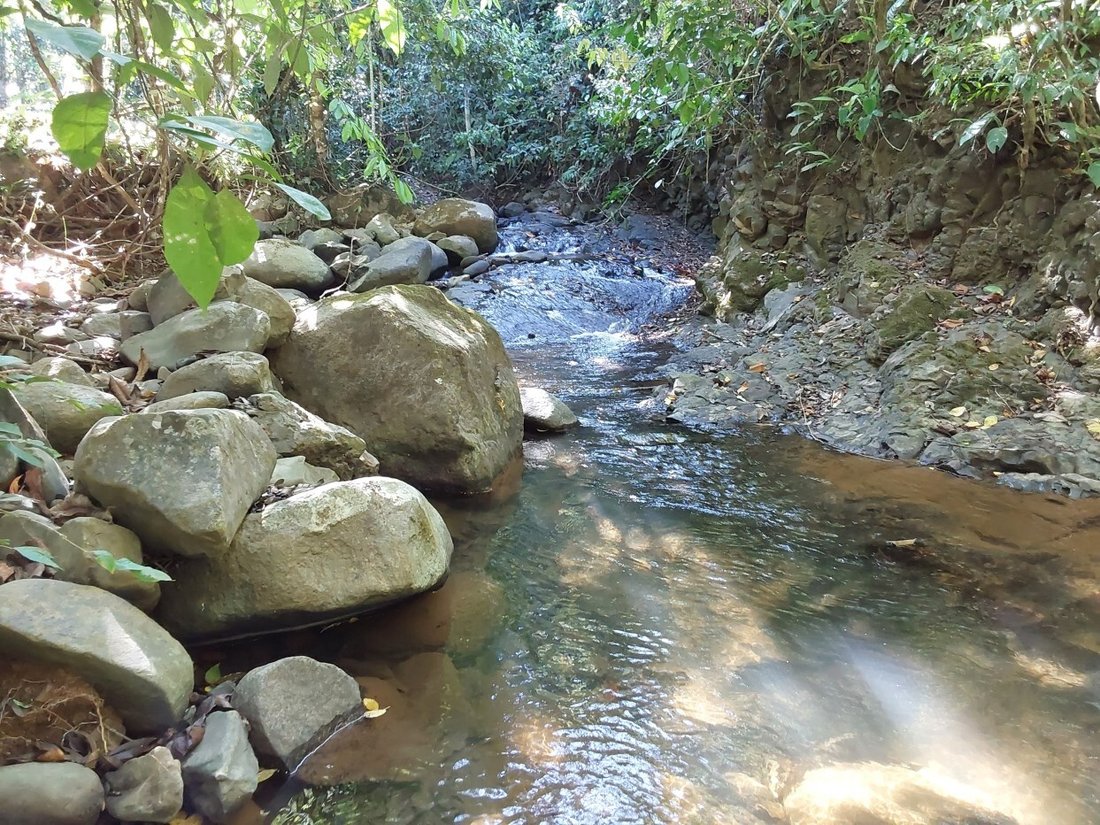 Terrain à Ciudad Cortés, Puntarenas, Costa Rica 1 - 18242168