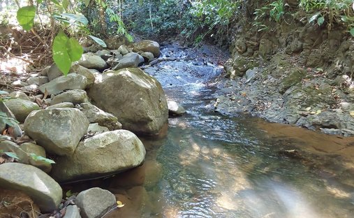 Land in Ciudad Cortés, Puntarenas Province, Costa Rica 1