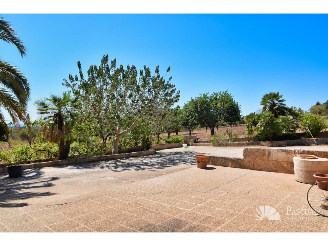 Haus in Son Servera, Balearische Inseln, Spanien 3 - 18242428