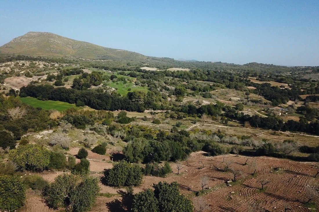 Land in Sant Llorenc des Cardassar, Balearic Islands, Spain 4 - 18242050