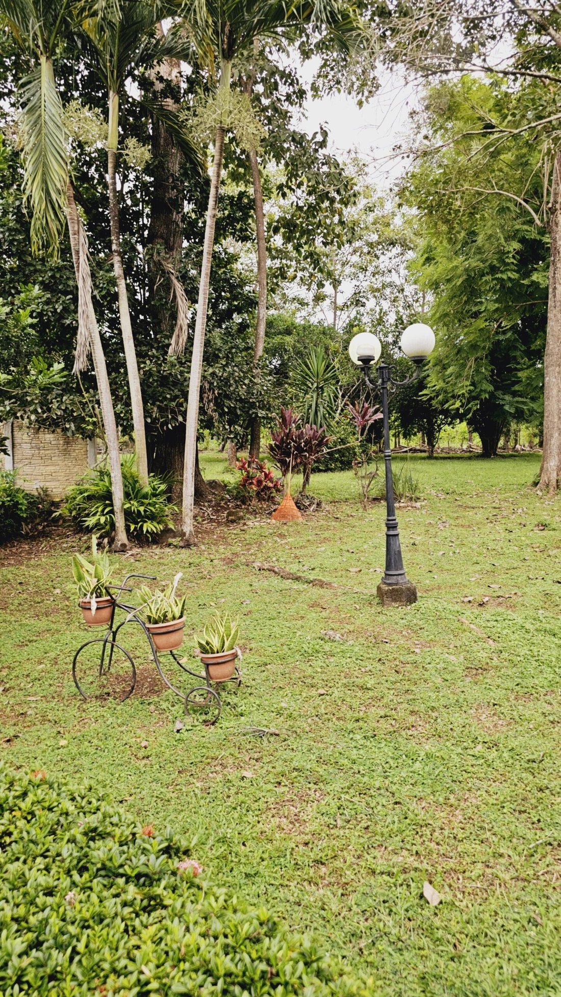 House in Ceiba, Alajuela Province, Costa Rica 5 - 18239179