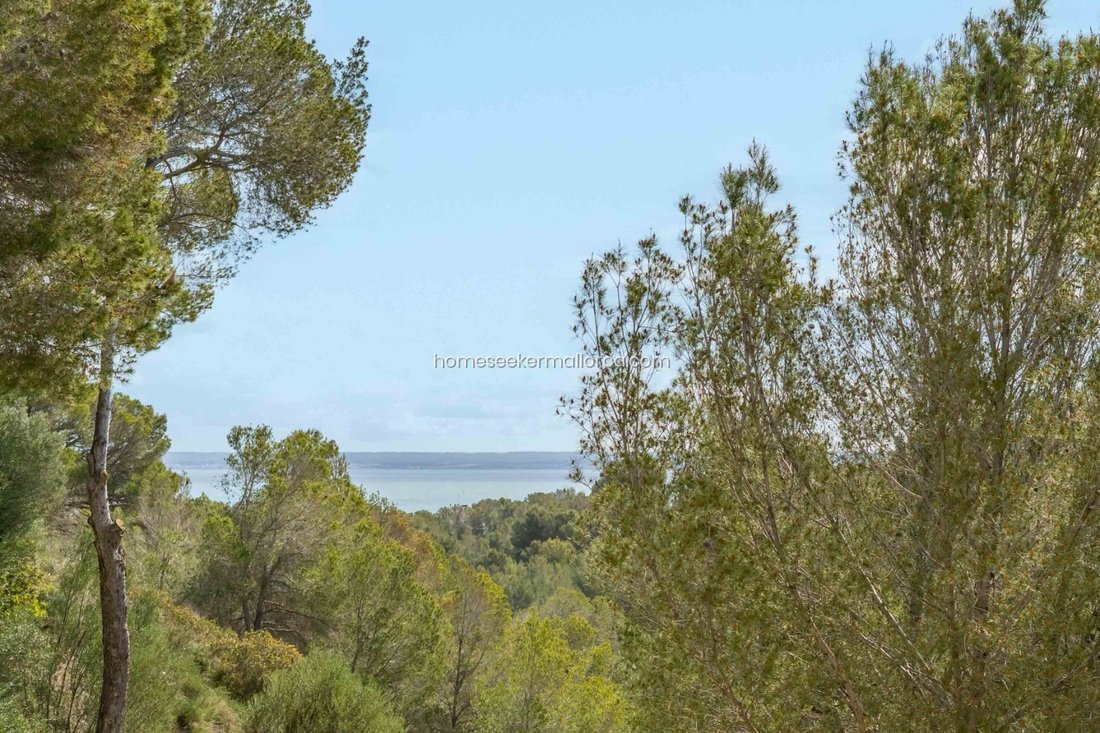 Appartamento a Portals Nous, Calvià, Isole Baleari 3 - 18243505