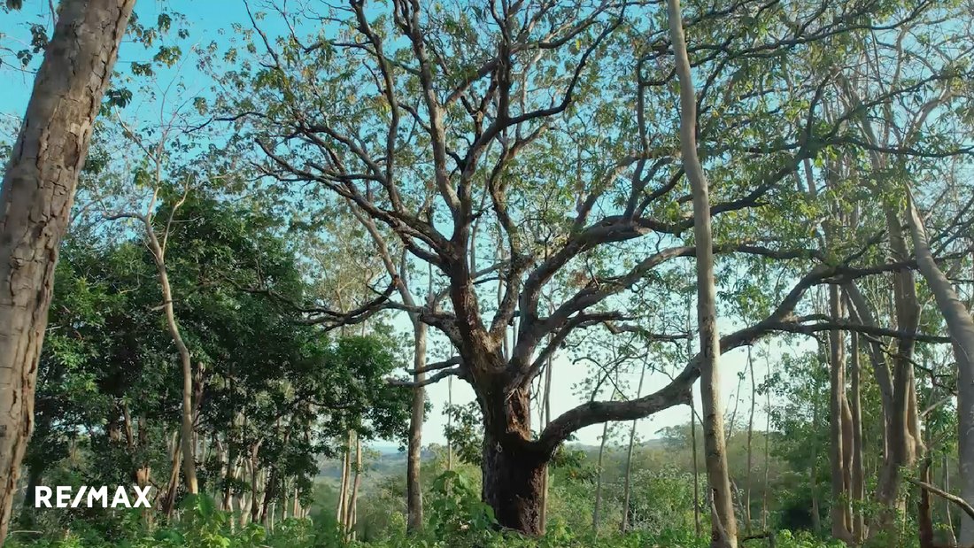 Land in Guanacaste, Nicoya, Costa Rica 4 - 18238330