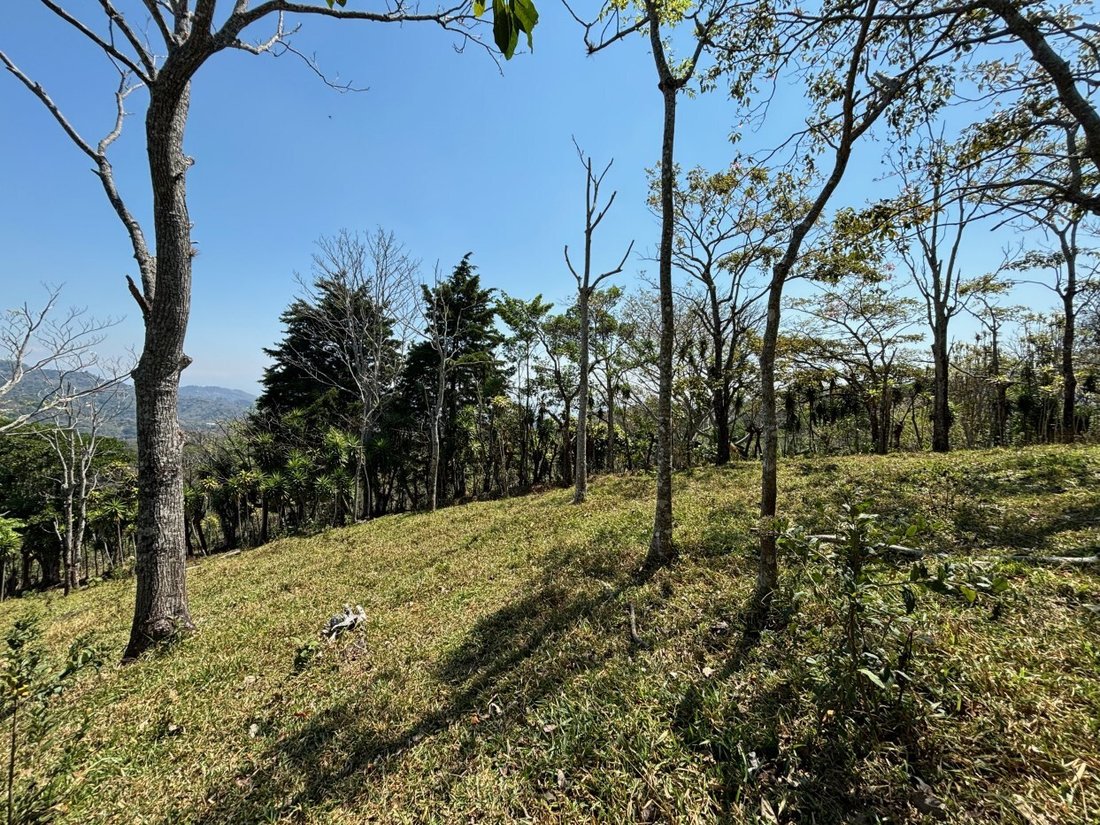 Land in Jesús, Provinz Alajuela, Costa Rica 1 - 18240689