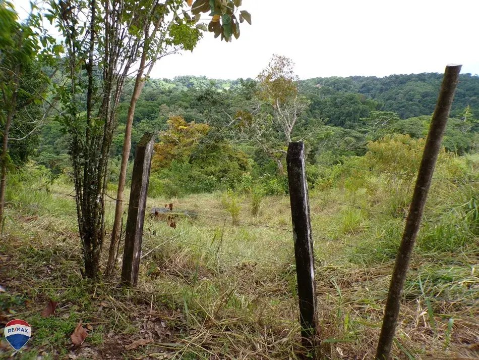 House in Pavones, Puntarenas Province, Costa Rica 2 - 18246534