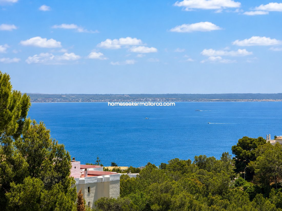 Apartment in Cas Catala, Calvia, Balearic Islands 4 - 18244082