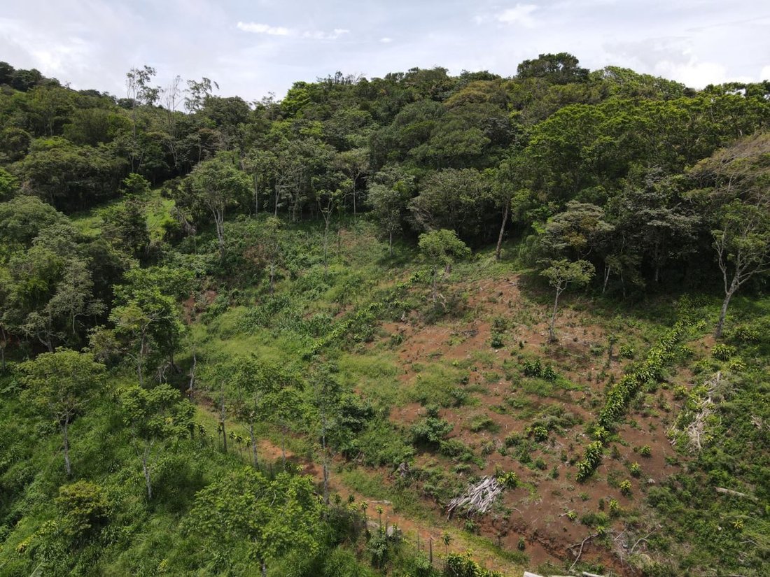 Land in San Ramon, Guanacaste Province, Costa Rica 5 - 18240007