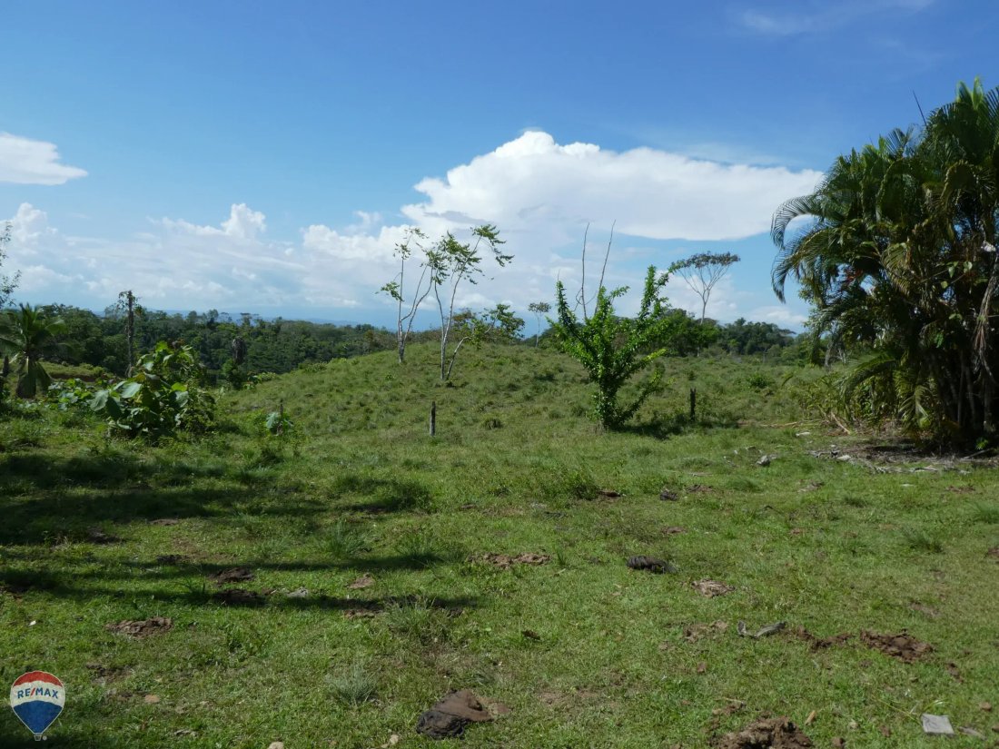 Land in Cuervito, Puntarenas Province, Costa Rica 4 - 18246531