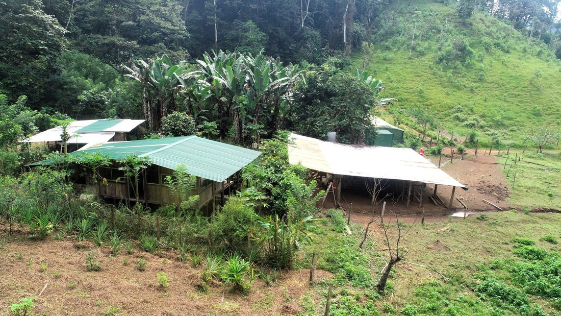 Land in Finca Puntarenas, Puntarenas Province, Costa Rica 2 - 18241270