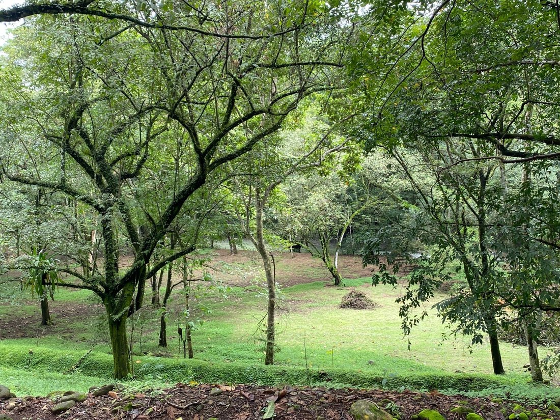 Land in Orotina, Orotina, Costa Rica 4 - 18238775