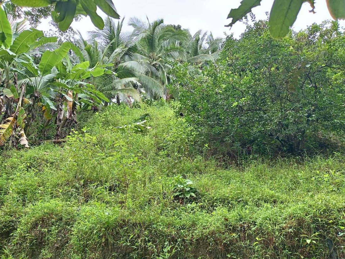 House in Punta Banco, Puntarenas Province, Costa Rica 4 - 18246576